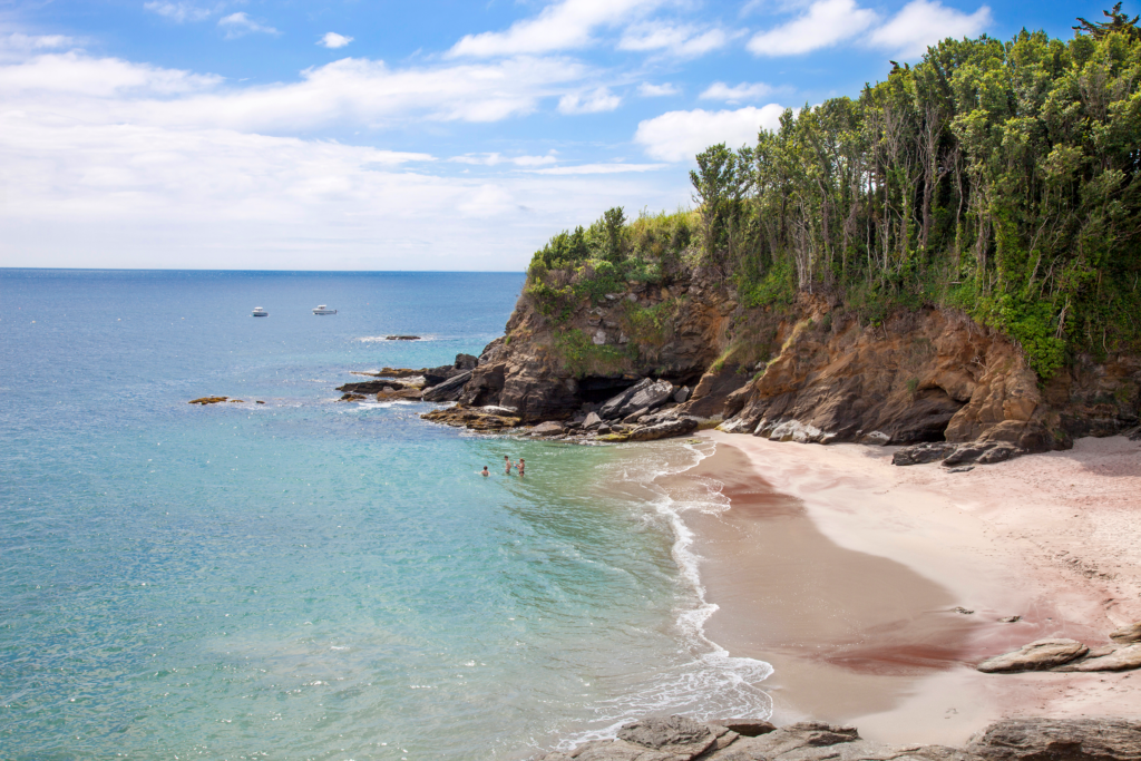 crtb-ae04961_Remedios Valls-bd