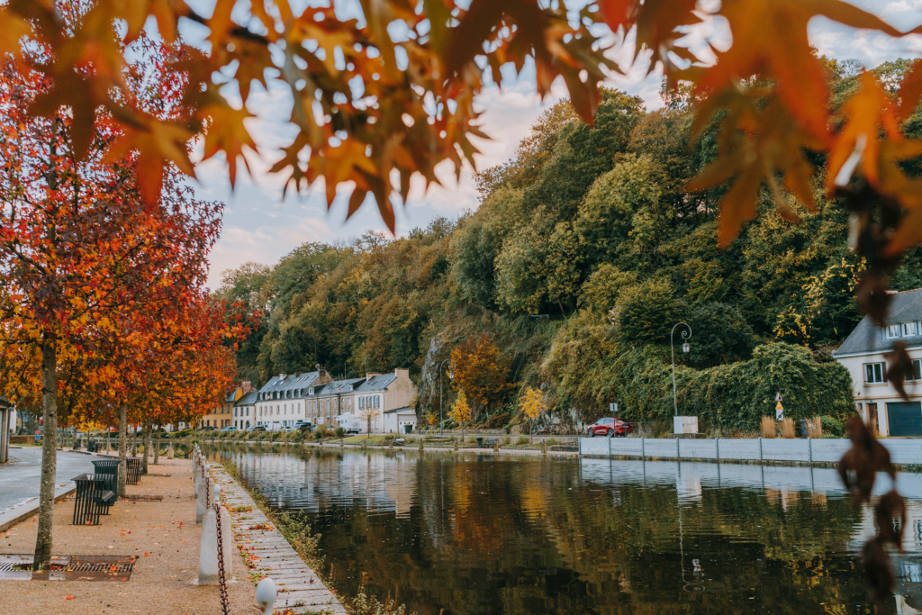 crtb-ae05126_Noe C-bd